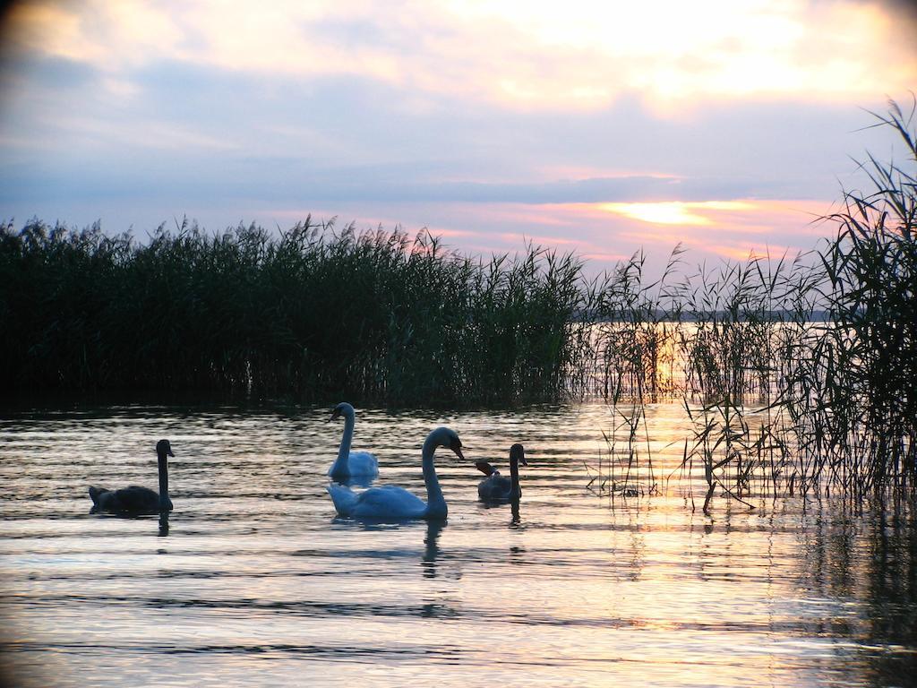 Feriendorf Boeker Muehle Стая снимка